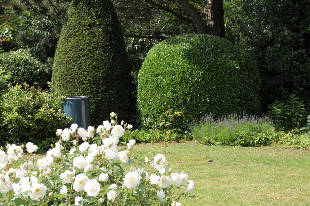 bedandbreakfast Waterloo